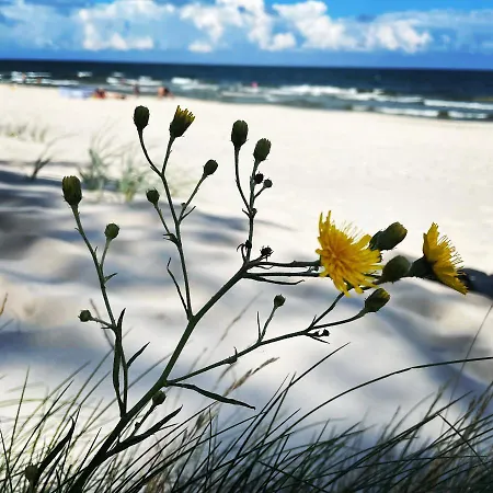 Lodge Pelikan - Przy Plazy *