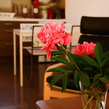 Pelikan - Przy Plazy Lodge Dźwirzyno