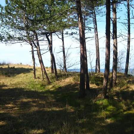 山林小屋 Pelikan - Przy Plazy *