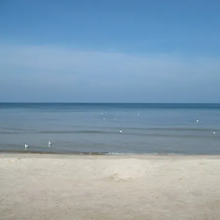 Pelikan - Przy Plaży *