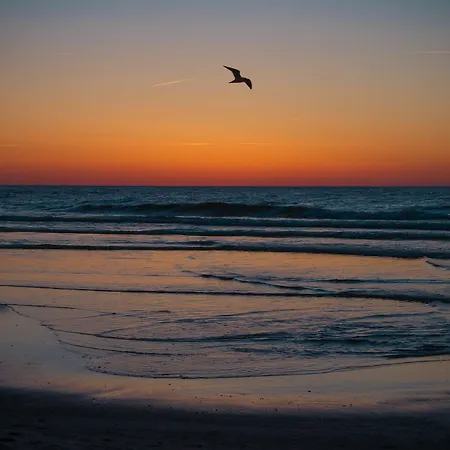 Lodge Pelikan - Przy Plazy Dźwirzyno