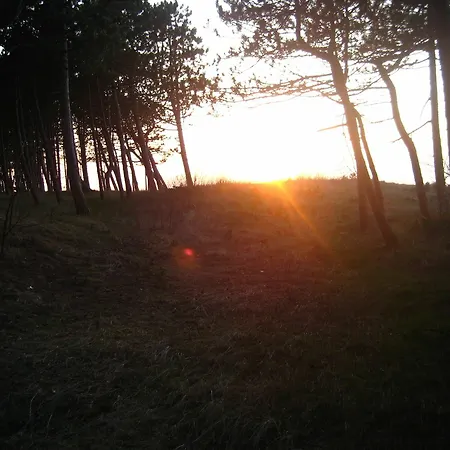 Pelikan - Przy Plazy Lodge *