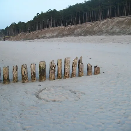 Pelikan - Przy Plazy * Dźwirzyno