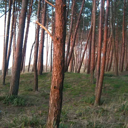 Pelikan - Przy Plaży Domek letniskowy