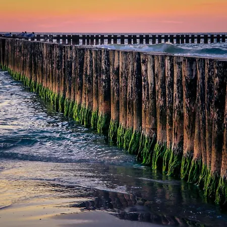 Pelikan - Przy Plazy *