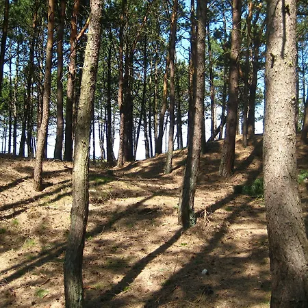 Pelikan - Przy Plaży