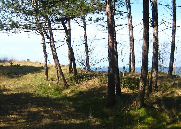 Domek letniskowy Pelikan - Przy Plaży *