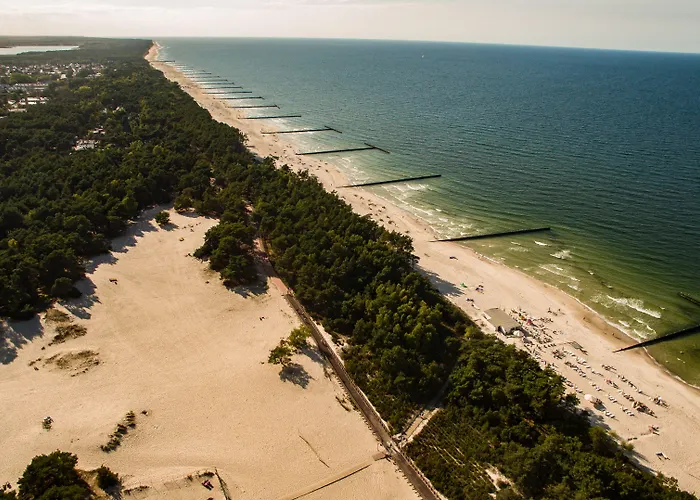 Pelikan - Przy Plazy *