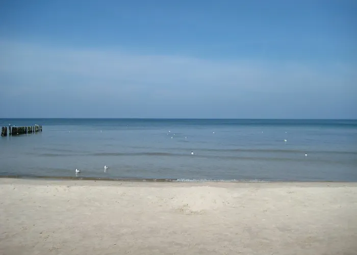 Pelikan - Przy Plaży *