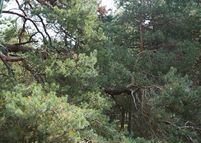 Pelikan - Przy Plazy Lodge