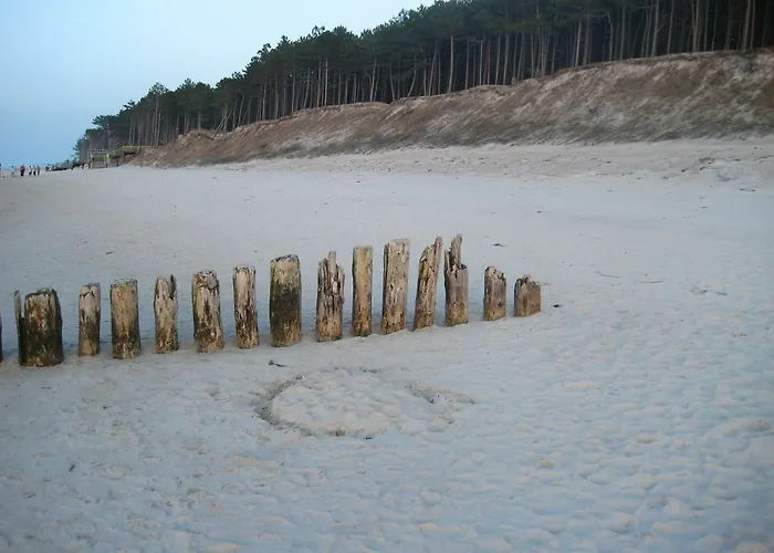 Pelikan - Przy Plazy * Dźwirzyno