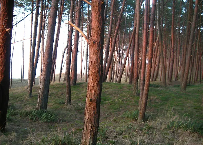 Pelikan - Przy Plazy Lodge