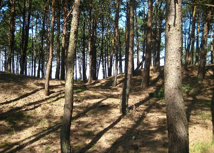 Pelikan - Przy Plaży